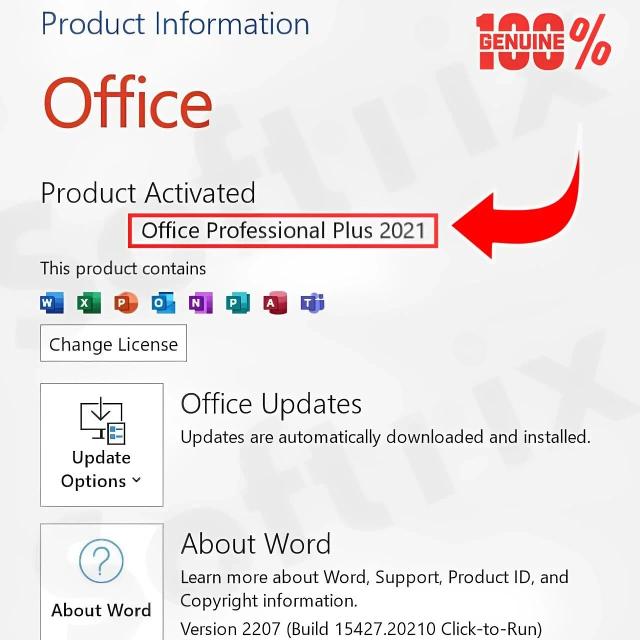 MICROSOFT OFFICE PROFESSIONAL PLUS 2021 (LIFETIME VALIDITY, 1 PC) ACTIVATION KEY CARD - Image 2